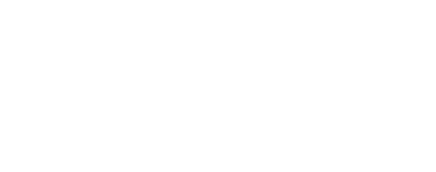 Razin Logo